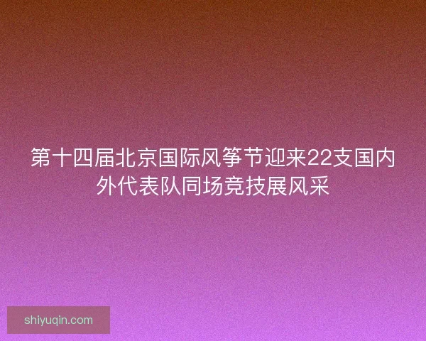 第十四届北京国际风筝节迎来22支国内外代表队同场竞技展风采
