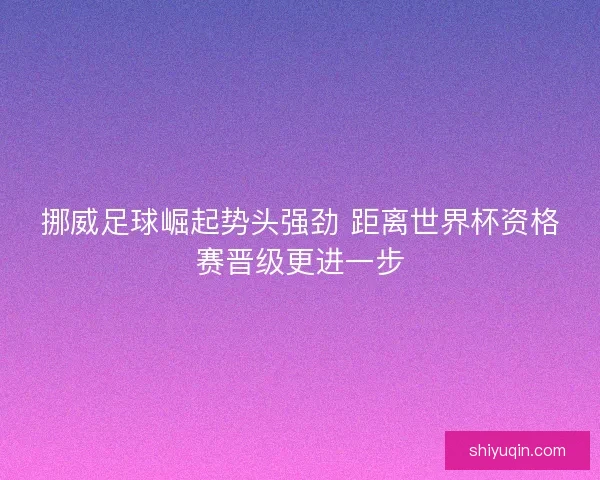 挪威足球崛起势头强劲 距离世界杯资格赛晋级更进一步