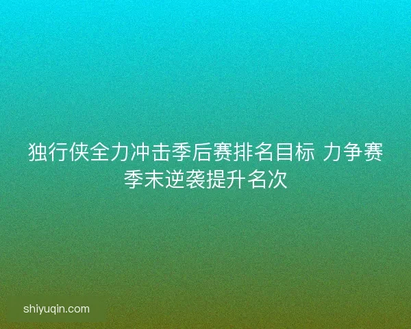 独行侠全力冲击季后赛排名目标 力争赛季末逆袭提升名次
