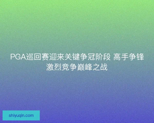PGA巡回赛迎来关键争冠阶段 高手争锋激烈竞争巅峰之战
