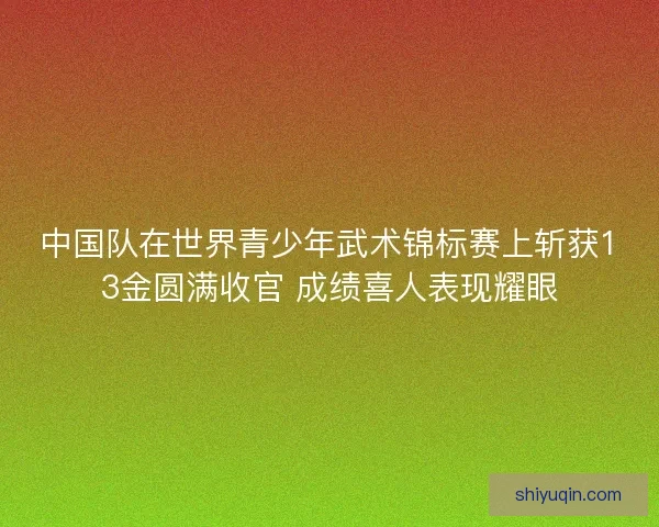 中国队在世界青少年武术锦标赛上斩获13金圆满收官 成绩喜人表现耀眼 中国队在世界青少年武术锦标赛上斩获13金圆满收官 成绩喜人表现耀眼