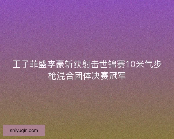 王子菲盛李豪斩获射击世锦赛10米气步枪混合团体决赛冠军
